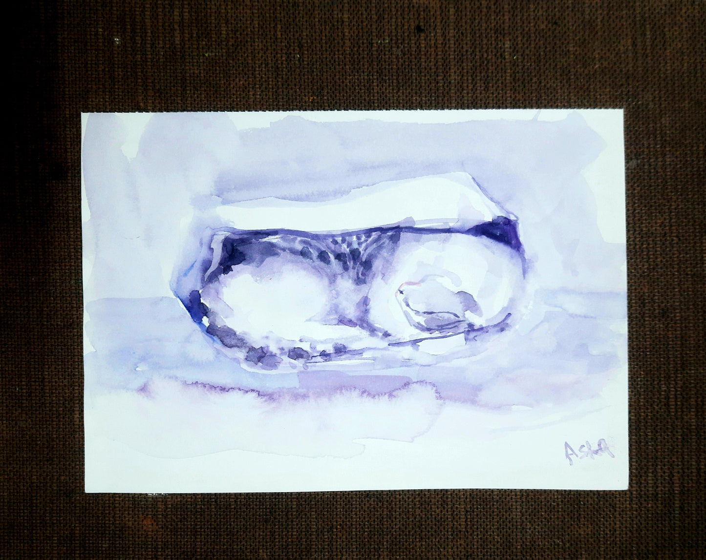 Studio view ,Sleeping cat, sleeping in the shopping bag, watercolor painting