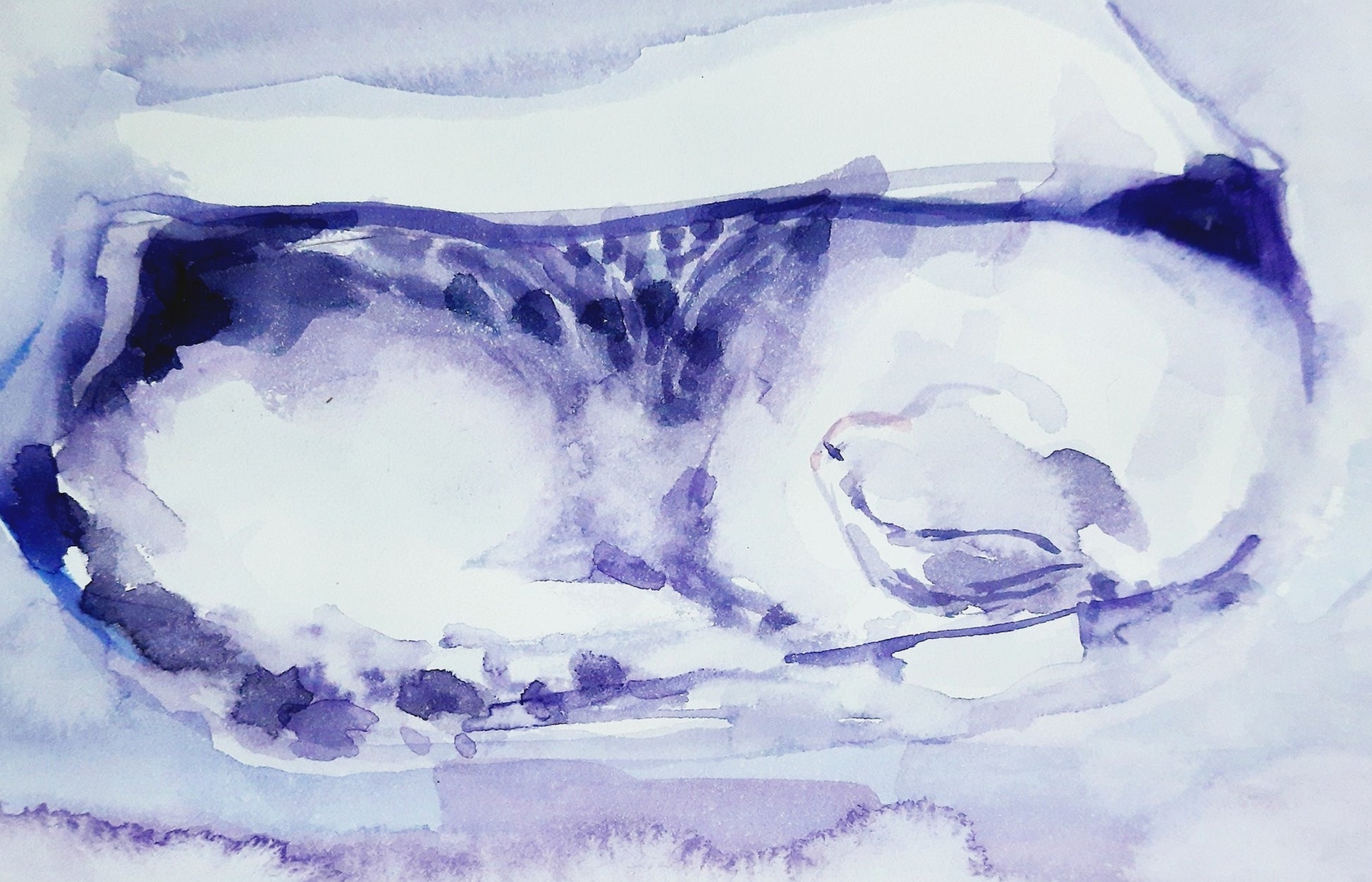 closeup of Sleeping cat, sleeping in the shopping bag, watercolor painting