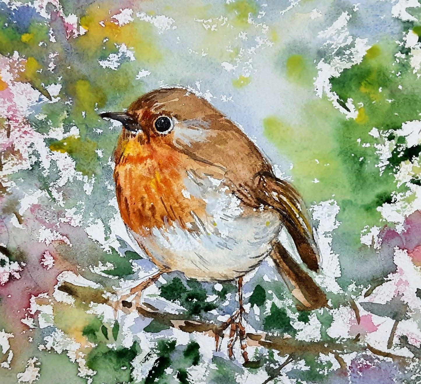 closeup of Cute Robin on the tree, Bird wall art in watercolors