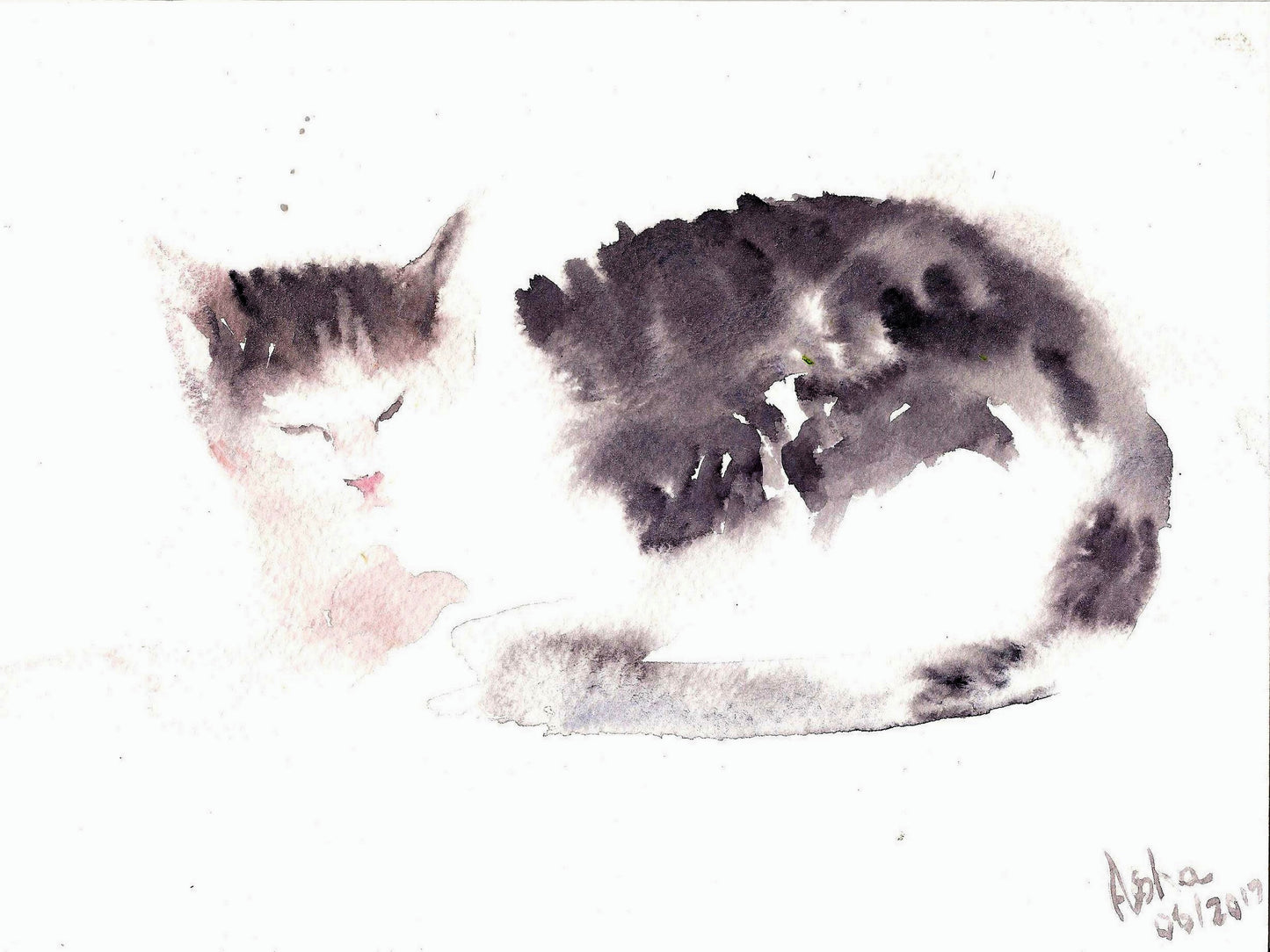 Dozing Cat canvas print, cat lover gift, 9"x12"