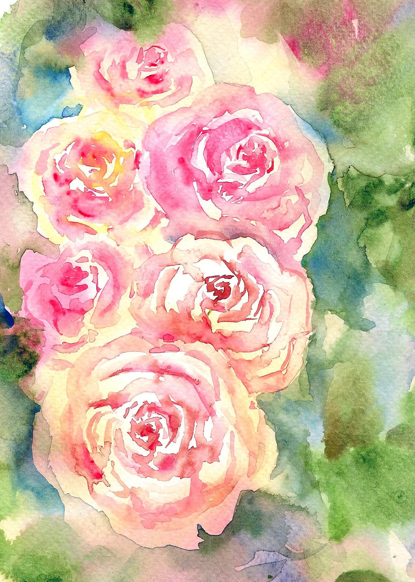 closeup Pink English Roses, watercolor painting