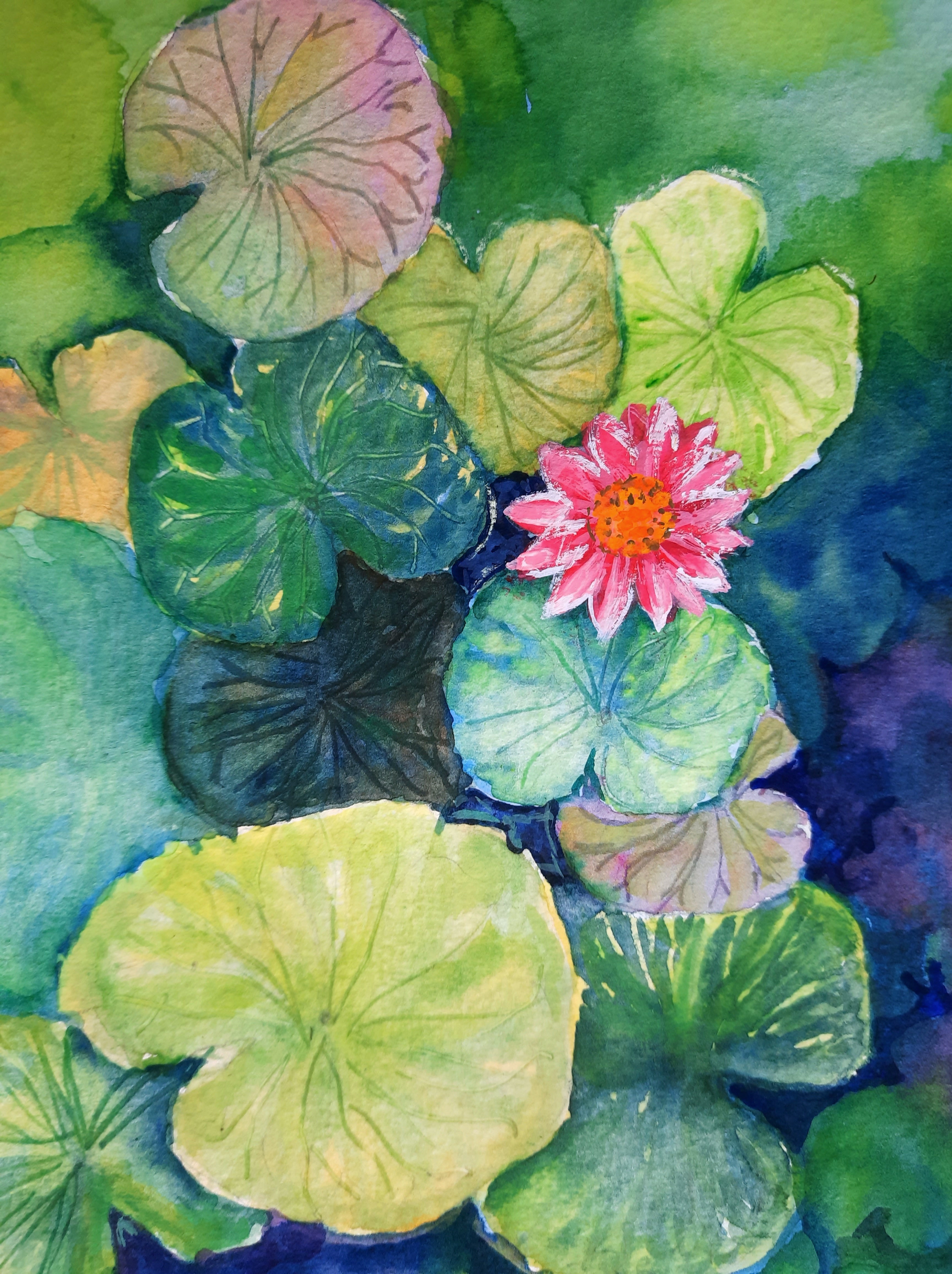 Lotus Pond watercolor painting – ASHA SHENOY FINE ART