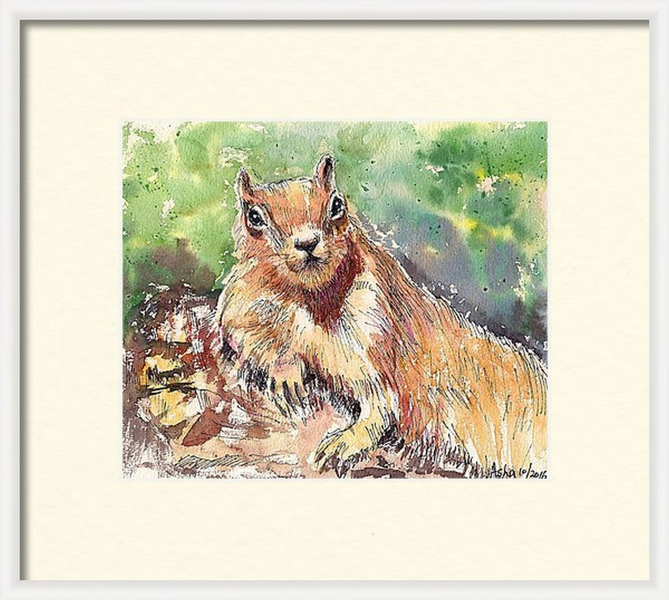 Virtual frame, Red Squirrel Sunbathing- Ink and watercolor wash on paper