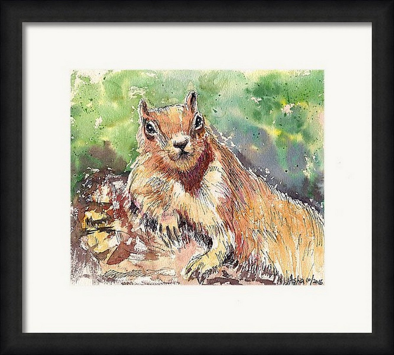 Virtual frame view, Red Squirrel Sunbathing- Ink and watercolor wash on paper