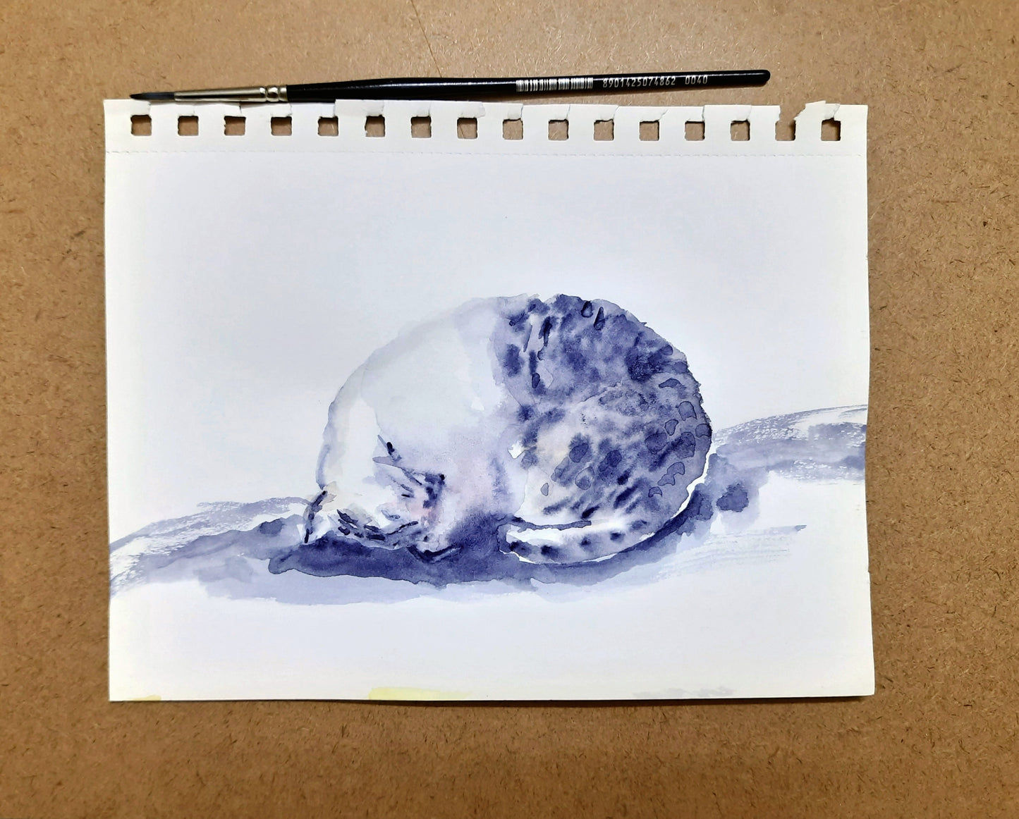 Sleeping cat watercolor painting studio view