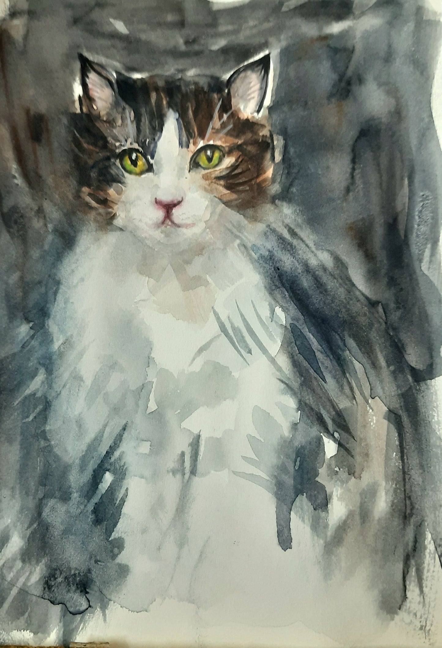 The Sober Tabby Cat, watercolors on paper