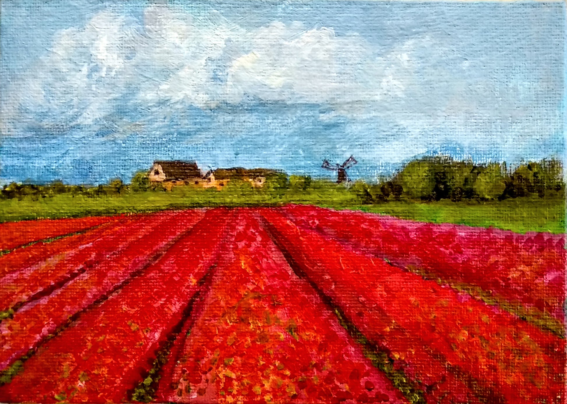 Tulip fields of Holland, Miniature canvas Painting