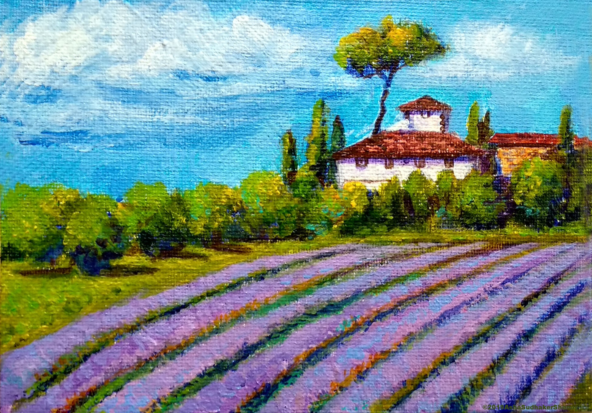 Lavender fields of Provence, France, Miniature canvas art