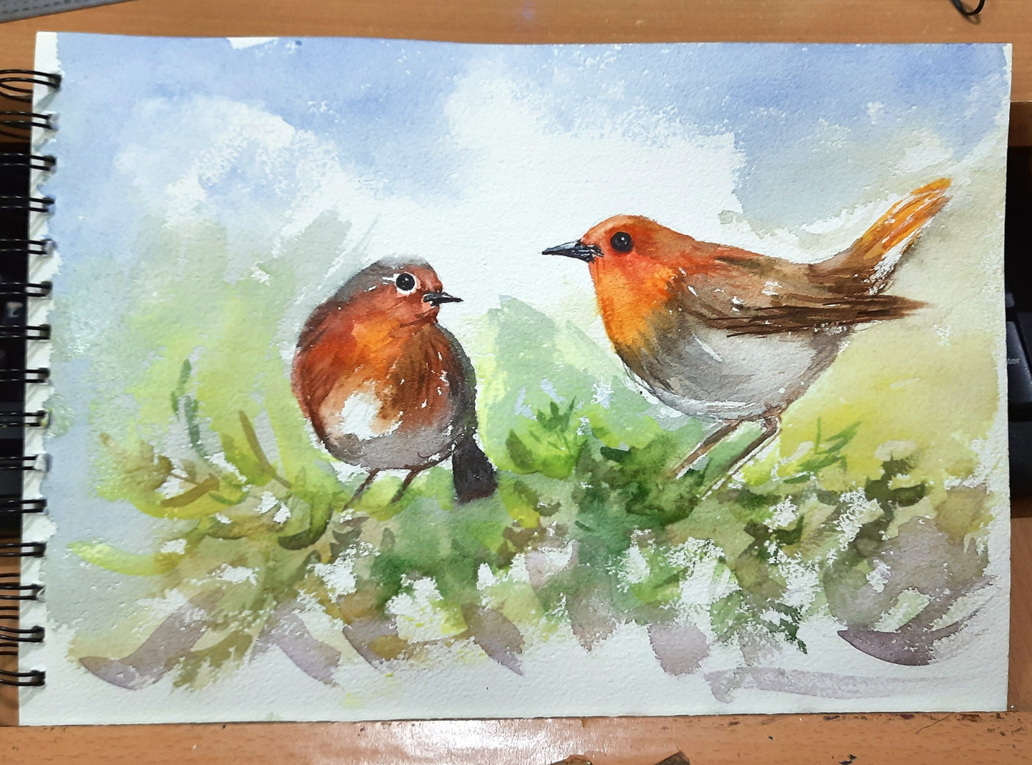 Studio view Two Cute Robins chatting on a tree, Birds in watercolors