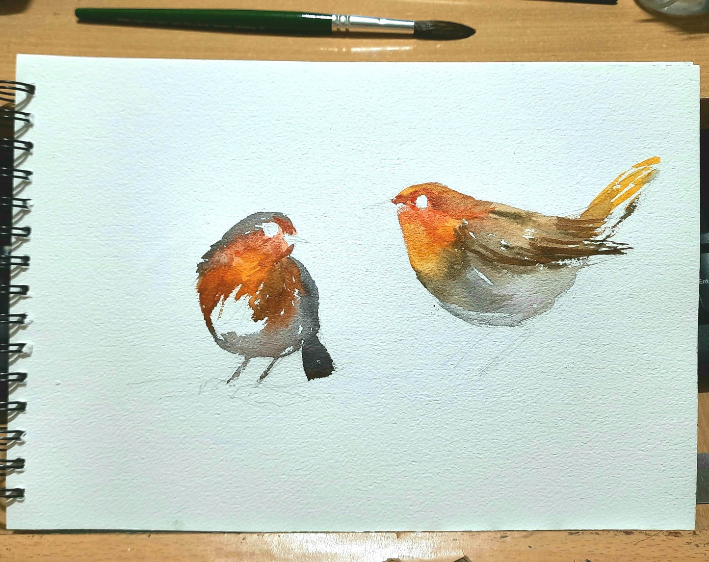 WIP Virtual framed view of Two Cute Robins chatting on a tree, Birds in watercolors