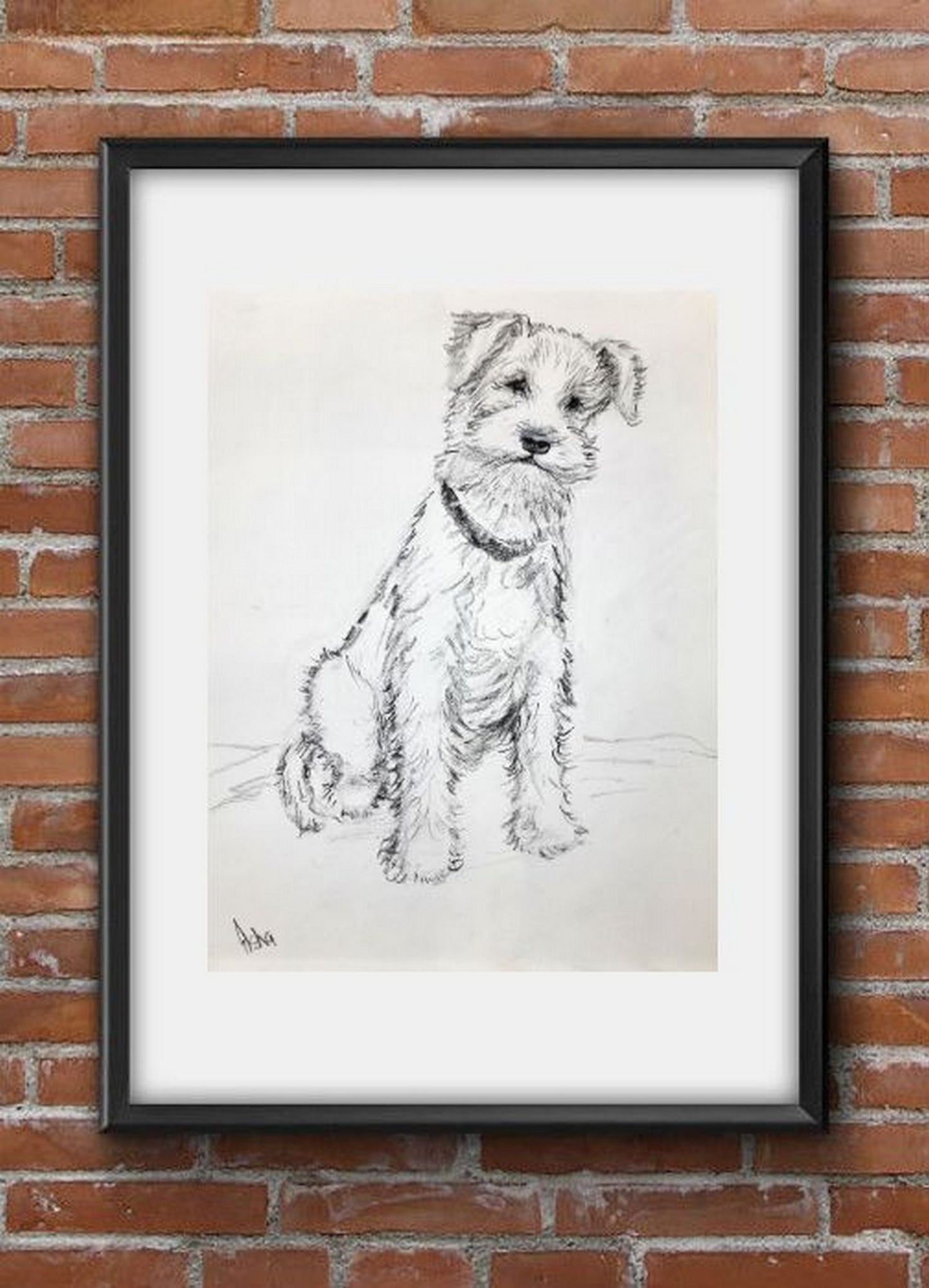 Virtual frame and wall view, Wire fox terrier Pencil sketch on paper