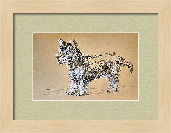 In a virtual frame, Yorkshire Terrier trotting - pet dog Charcoal pencil sketch on toned paper