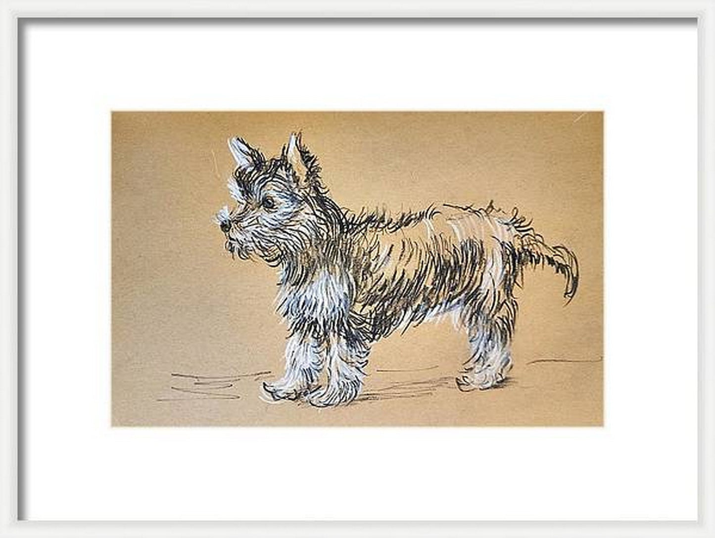 Yorkshire Terrier trotting - pet dog Charcoal pencil sketch on toned paper (SOLD OUT)