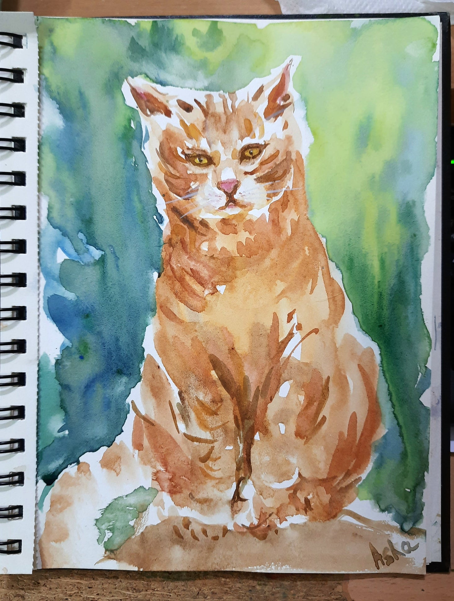 Un chat orange appelé Ranga, aquarelle sur papier